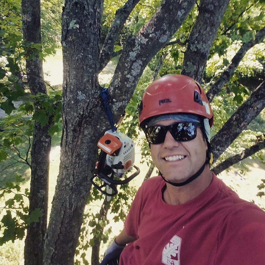 justin maguire mountain dog tree care