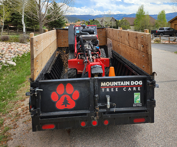 dump trailer mountain dog tree care