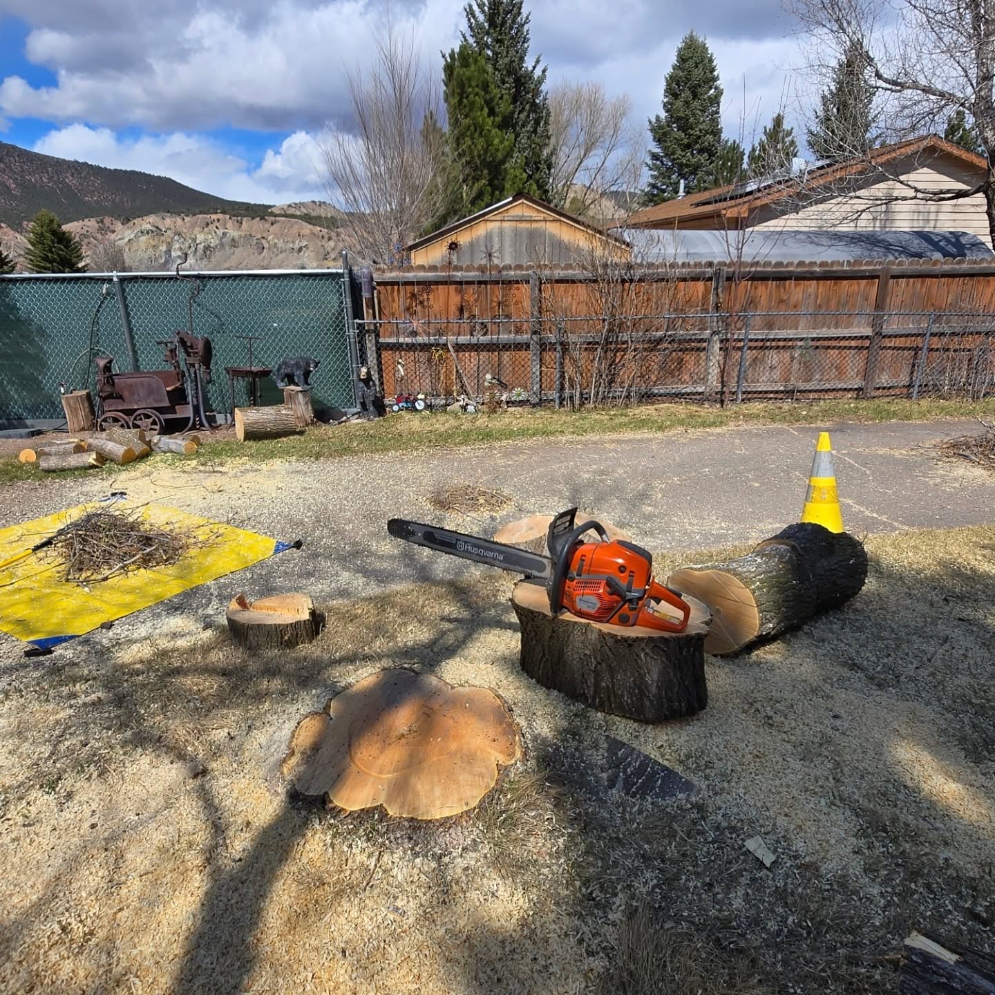 fire mitigation eagle colorado